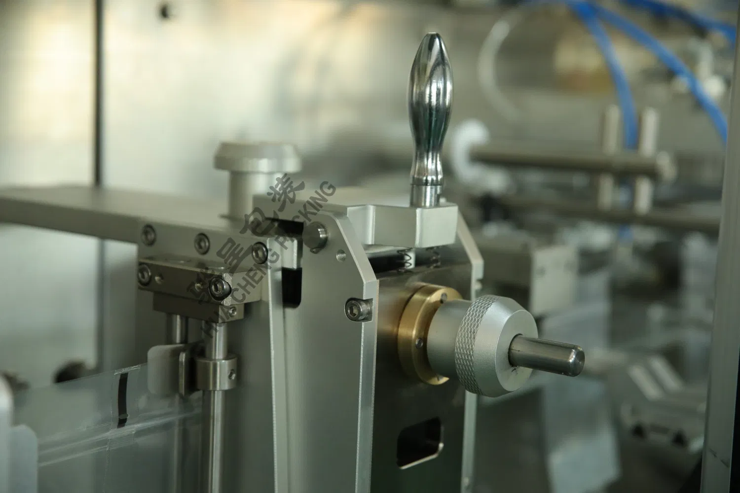 Automatic Horizontal Doypack Spout Stand up Pouch Baby Food Health Care Drink Juice Shake Jelly Berry Smoothie Beverage Filling Sealing Packing Machine